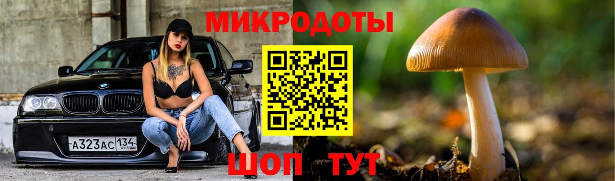 Псилоцибиновые грибы мухоморы Скопин